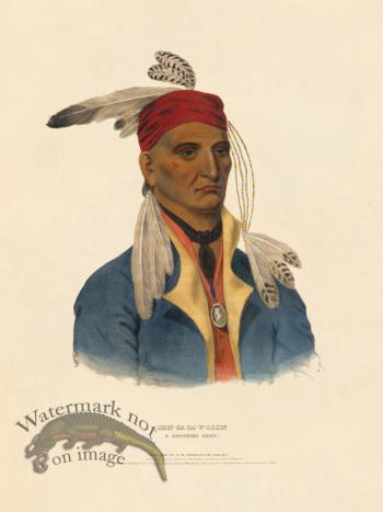 Shin-ga-ba-w'ossin Chippeway